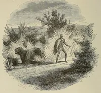 An illustration from Les chasseurs d'ivoire (1876)