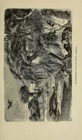 An illustration from Les chasseurs d'ivoire (1876)