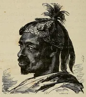 An illustration from Les chasseurs d'ivoire (1876)