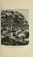 An illustration from Les chasseurs d'ivoire (1876)