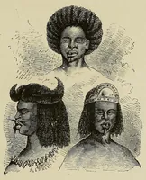 An illustration from Les chasseurs d'ivoire (1876)