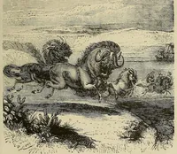 An illustration from Les chasseurs d'ivoire (1876)