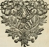 An illustration from Les cinq ordres d'architecture de Vincent Scamozzi ... : tirez du sixième livre de son Idée generale d'architecture : avec les planches originales (1685)