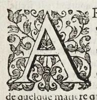 An illustration from Les cinq rangs de l'architecture, a scavoir, tuscane, dorique, ionique, corinthiaque et composee : avec l'instruction fondamentale (1617)