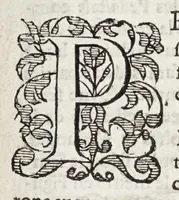 An illustration from Les cinq rangs de l'architecture, a scavoir, tuscane, dorique, ionique, corinthiaque et composee : avec l'instruction fondamentale (1617)