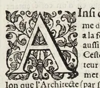 An illustration from Les cinq rangs de l'architecture, a scavoir, tuscane, dorique, ionique, corinthiaque et composee : avec l'instruction fondamentale (1617)
