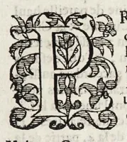 An illustration from Les cinq rangs de l'architecture, a scavoir, tuscane, dorique, ionique, corinthiaque et composee : avec l'instruction fondamentale (1617)