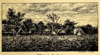 Picture 5 of 18 from Les colonies françaises; (1889), leaf 123