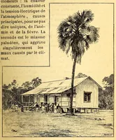 Picture 9 of 18 from Les colonies françaises; (1889), leaf 123