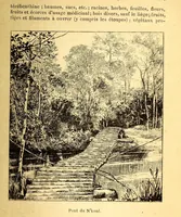 Picture 11 of 18 from Les colonies françaises; (1889), leaf 151