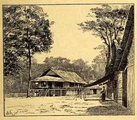 Picture 3 of 18 from Les colonies françaises; (1889), leaf 39