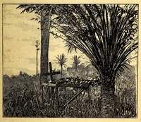 Picture 6 of 18 from Les colonies françaises; (1889), leaf 91