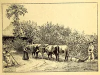 An illustration from Les colonies françaises; (1889)