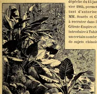 An illustration from Les colonies françaises; (1889)