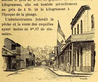 An illustration from Les colonies françaises; (1889)