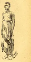 An illustration from Les colonies françaises; (1889)