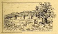 Picture 16 of 19 from Les colonies françaises; (1889), leaf 323