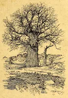 Picture 2 of 19 from Les colonies françaises; (1889), leaf 43