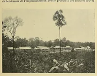 Picture 1 of 17 from Les colonies francaises; petite encyclopédie coloniale publiée sous la direction de M. MaximePetit; (1902), leaf 117