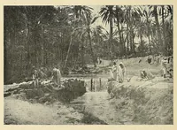 An illustration from Les colonies francaises; petite encyclopédie coloniale publiée sous la direction de M. MaximePetit; (1902)