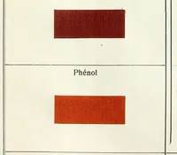 An illustration from Les colorants pour coton (1900)