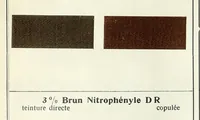An illustration from Les colorants pour coton (1900)