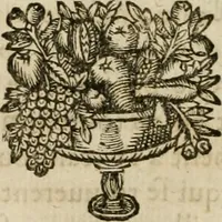 An illustration from Les commentaires de Cesar (1652)