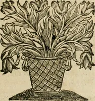 Picture 9 of 27 from Les commentaires de Cesar (1652), leaf 238