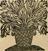 Picture 10 of 27 from Les commentaires de Cesar (1652), leaf 265