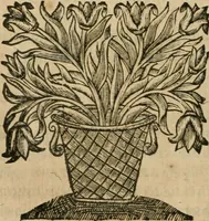 Picture 12 of 27 from Les commentaires de Cesar (1652), leaf 307