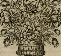 Picture 4 of 27 from Les commentaires de Cesar (1652), leaf 31