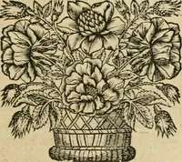 An illustration from Les commentaires de Cesar (1652)