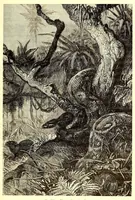 An illustration from Les contrées mystérieuses et les peuples inconnus (1884)