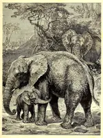 An illustration from Les contrées mystérieuses et les peuples inconnus (1884)