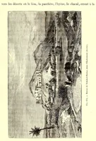 Picture 14 of 17 from Les contrées mystérieuses et les peuples inconnus (1884), leaf 641