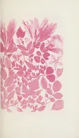 An illustration from Les couleurs en photographie : causerie (1871)