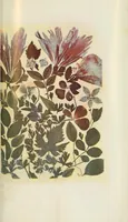 An illustration from Les couleurs en photographie : causerie (1871)