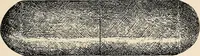 Picture 67 of 73 from Les criminels : étude concernant 859 condamnés (1900), leaf 486