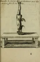Picture 35 of 53 from L'escuyer françois : qui enseigne a monter a cheval et a voltiger par une methode toute particuliere (1679), leaf 72