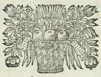 An illustration from Les dames illustres : ou par bonnes & fortes raisons, il se prouue, que le sexe feminin surpasse en toute sorte de genres le sexe masculin (1665)