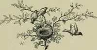 An illustration from Les débuts d'un peintre (1886)