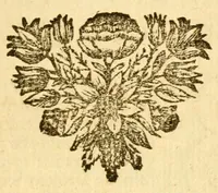 An illustration from Les decades de Tite-Live : avec les supplemens de J. Freinshemius; nouvellement augmentees d'un abrege chronologique: mises en Francois (1700)