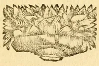Picture 9 of 15 from Les decades de Tite-Live : avec les supplemens de J. Freinshemius; nouvellement augmentees d'un abrege chronologique: mises en Francois (1700), leaf 211