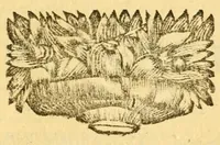 Picture 10 of 15 from Les decades de Tite-Live : avec les supplemens de J. Freinshemius; nouvellement augmentees d'un abrege chronologique: mises en Francois (1700), leaf 233