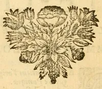 An illustration from Les decades de Tite-Live : avec les supplemens de J. Freinshemius; nouvellement augmentees d'un abrege chronologique: mises en Francois (1700)