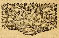 Picture 13 of 17 from Les decades de Tite-Live : avec les supplemens de J. Freinshemius; nouvellement augmentees d'un abrege chronologique: mises en Francois (1700), leaf 264