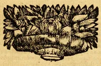 An illustration from Les decades de Tite-Live : avec les supplemens de J. Freinshemius; nouvellement augmentees d'un abrege chronologique: mises en Francois (1700)