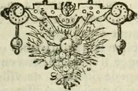 An illustration from Les delices de la Hollande ... Avec un traité du gouvernement, et un abregé de ce qui s'est passé de plus memorable, iusques à l'an de grace 1650 (1655)