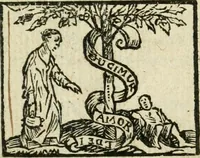 An illustration from Les delices de la Hollande ... Avec un traité du gouvernement, et un abregé de ce qui s'est passé de plus memorable, iusques à l'an de grace 1650 (1655)