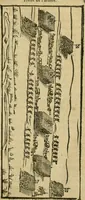 An illustration from Les discovrs militaires (1618)